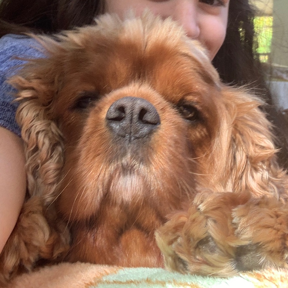 Meet your Posher, Nancy